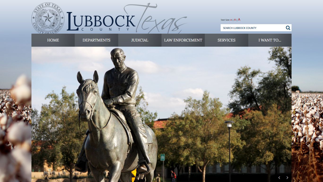 Online Access to Court Records - Lubbock County, Texas
